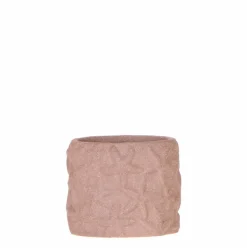 LA GREEN TOUCH - Star fish - pot décoratif marron