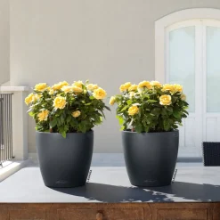 LECHUZA - Pot Classico Color, coloris gris ardoise D.43xH.40cm