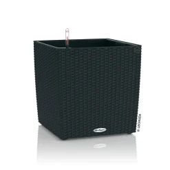 LECHUZA - Pot Cube Cottage 30 - kit complet, noir graphite