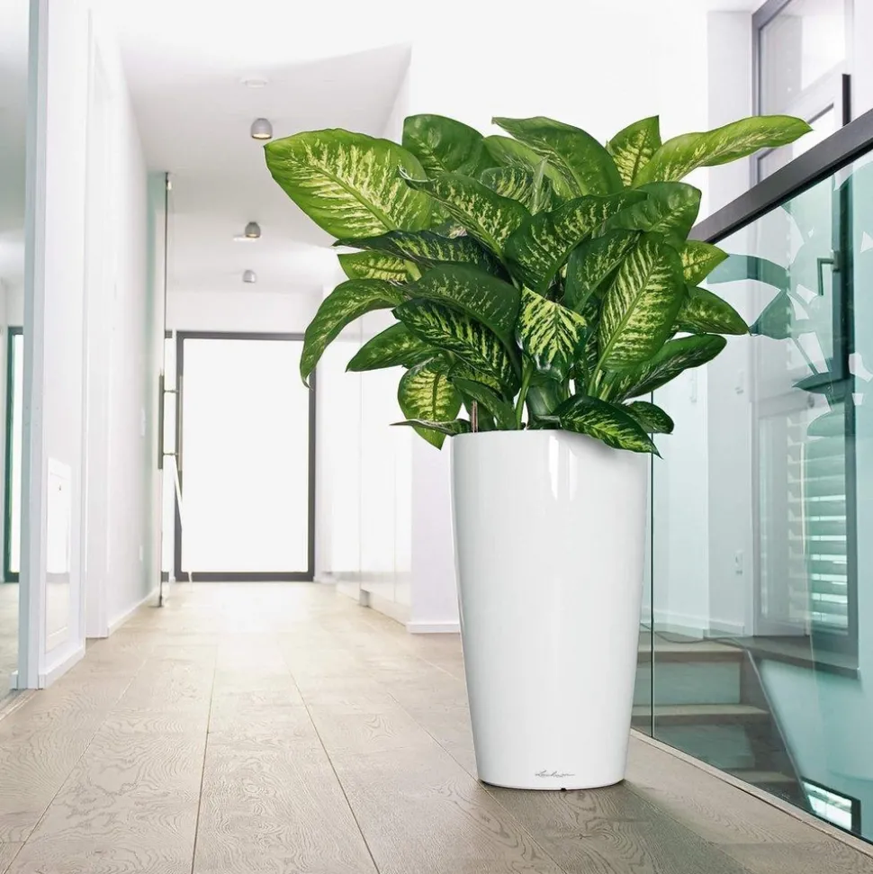 LECHUZA - Pot Rondo, coloris blanc D.32xH.56cm