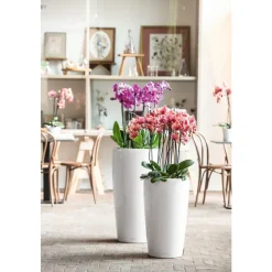 LECHUZA - Pot Rondo, coloris blanc D.32xH.56cm