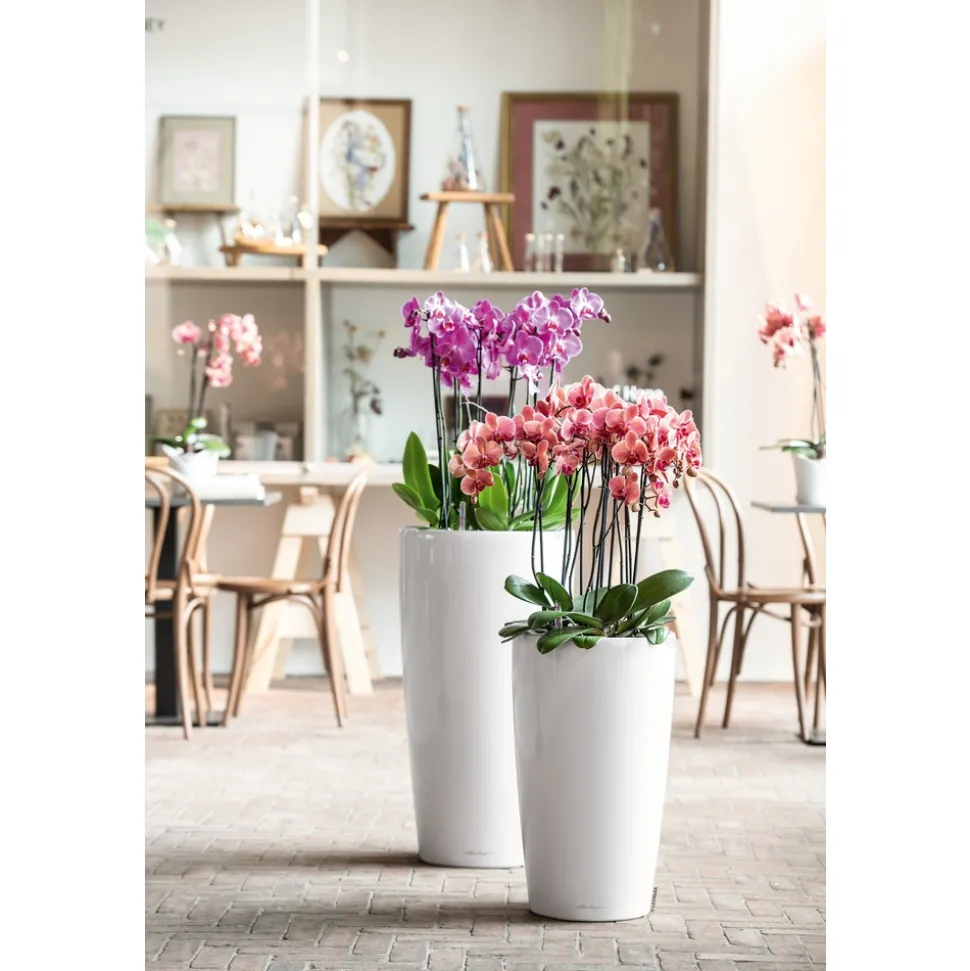 LECHUZA - Pot Rondo, coloris blanc D.32xH.56cm