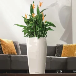 LECHUZA - Pot Rondo, coloris blanc D.32xH.56cm