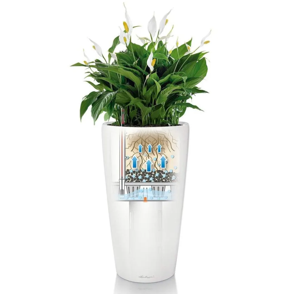 LECHUZA - Pot Rondo, coloris blanc D.32xH.56cm