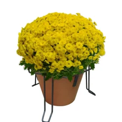 LOUIS MOULIN - Stabilisateur de pot, anthracite Ø 20 x H. 15,5 cm