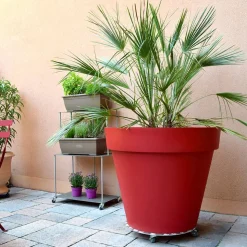 LOUIS MOULIN - Support "XXL" avec 5 roulettes, en aluminium D50 cm