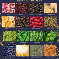 LOUISE & GASTON - Kit Aromatisation Gin arrangé DIY - Louise & Gaston