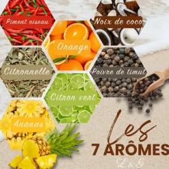 LOUISE & GASTON - Kit découverte aromatisation rhum arrangé