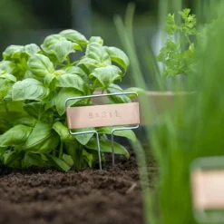 MES COURSES EN VRAC - Kit de poinçons pour étiquette de plantes