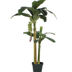 MICA - Bananier en pot, vert Ø 115 x H. 180 cm