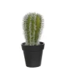 MICA - Cactus vert artificiel D12 x H.28 cm