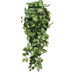 MICA - Chute de fittonia, vert L. 80 x l. 30 x H. 15 cm