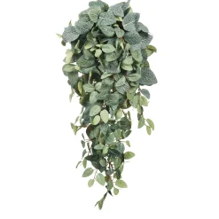 MICA - Chute de pilea, vert L. 70 x l. 30 x H. 20 cm