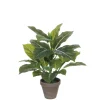 MICA - Evergreen vert artificiel H49cm, en pot Stan gris