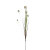 MICA - Fleur artificielle : Tige herbe pom Pom blanc H.84 cm