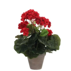 MICA - Geranium en pot Ø 11,5 cm, rouge Ø 23 x H. 32 cm