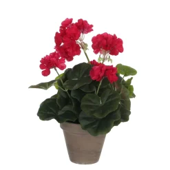 MICA - Geranium en pot Ø 11,5 cm, rose foncé Ø 23 x H. 32 cm