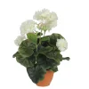 MICA - Geranium en pot Ø 11,5 cm, crème Ø 23 x H. 32 cm
