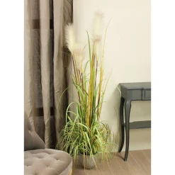 MICA - Herbe panache foxtail en pot, vert H. 150 cm