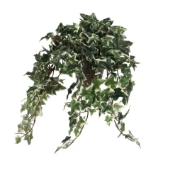 MICA - Lierre artificiel vert panaché L.45x25xH.25cm, en pot Ø 11,5 cm