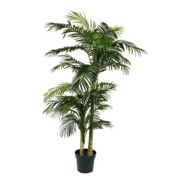 MICA - Palmier golden cane en pot, vert Ø 130 x H. 240 cm