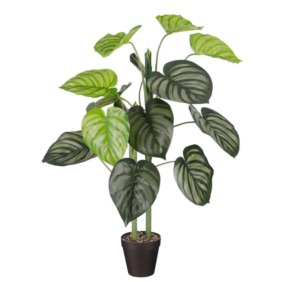 MICA - Plante artificielle : Caladium en pot vert - H.100xD.50cm