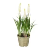 MICA - Plante artificielle muscari, coloris crème - H.26xD.13cm