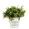 MICA - Plante artificielle buis, coloris vert - H.20xD.15cm
