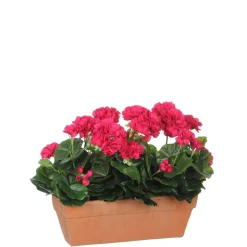 MICA - Plante artificielle : Jardinière géranium rose 39x13x40 cm