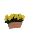 MICA - Plante artificielle : Jardinière Begonia jaune L.25 x l.13 x H.13 cm