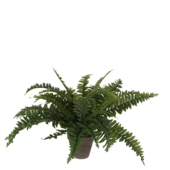 MICA - Plante artificielle : Pot Fougère D.13,5 x H.42 cm
