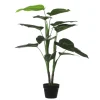 MICA - Plante en pot Philodendron H.100xD.70cm