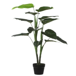 MICA - Plante en pot Philodendron H.100xD.70cm