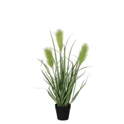 MICA - Plante en pot vert D.10 x H.53 cm