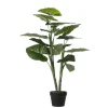 MICA - Plante taro en pot H.100xD.70cm