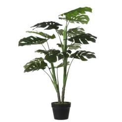 MICA - Plantes monstera en pot H.100xD70cm