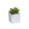 MICA - Succulente artificielle, en pot D5 x H.8 cm