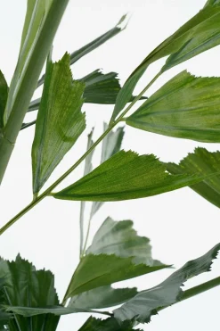 MICA DECORATIONS - Mica decorations - palmier queue-de-poisson plante artificielle vert h150