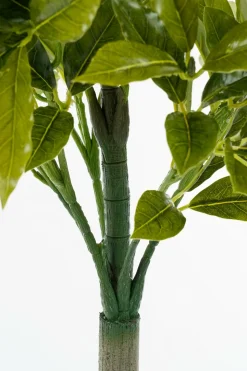 MICA DECORATIONS - Mica decorations - laurier arbre artificiel vert h120