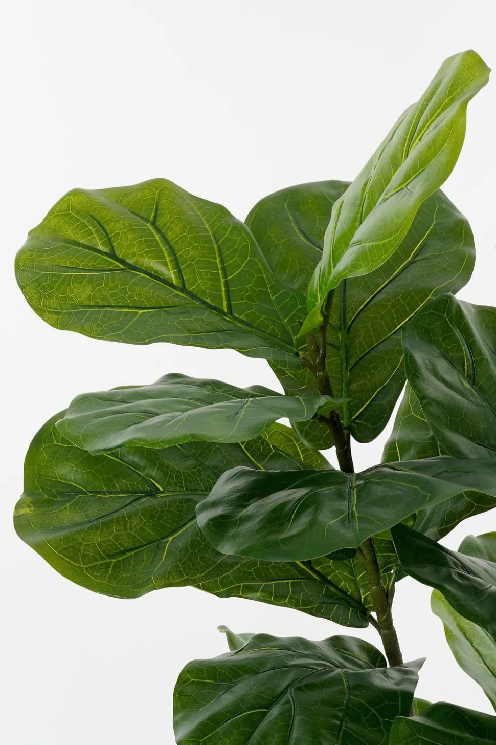 MICA DECORATIONS - Mica decorations - ficus lyrata plante artificielle vert h150
