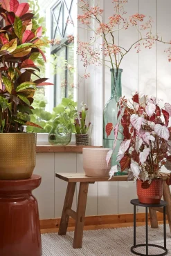 MICA DECORATIONS - Mica decorations - vase bouteille en verre recyclé h100