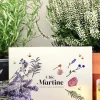 MIEL MARTINE - Coffret infusions – miels «chic martine»