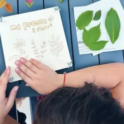 Mon kit herbier : je construis ma presse à fleurs et mon herbier