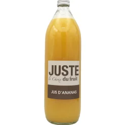 MONIN - Jus d'ananas - 1L