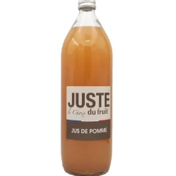 MONIN - Jus de pomme - 1L