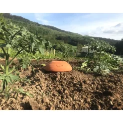 OLLAS ORIGIN - Céramique d'irrigation Ollas Jamet Origin n°8 - 35L