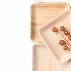 PACOVIS - Assiettes jetables en palmier - lot de 25 - 24 x 24 cm