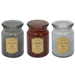 PARIS PRIX - Lot de 3 bougies parfumées "apoth" 14cm multicolore