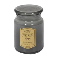 PARIS PRIX - Lot de 3 bougies parfumées "apoth" 14cm multicolore