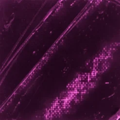 PÉBÉO - Peinture à l'huile fine xl studio - cramoisi - 200 ml